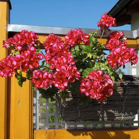 Apartment Beauty-oase Toscana